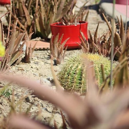 Chez Laura Et Benjamin ! Maison A La Plage Climatisee Frontignan ภายนอก รูปภาพ