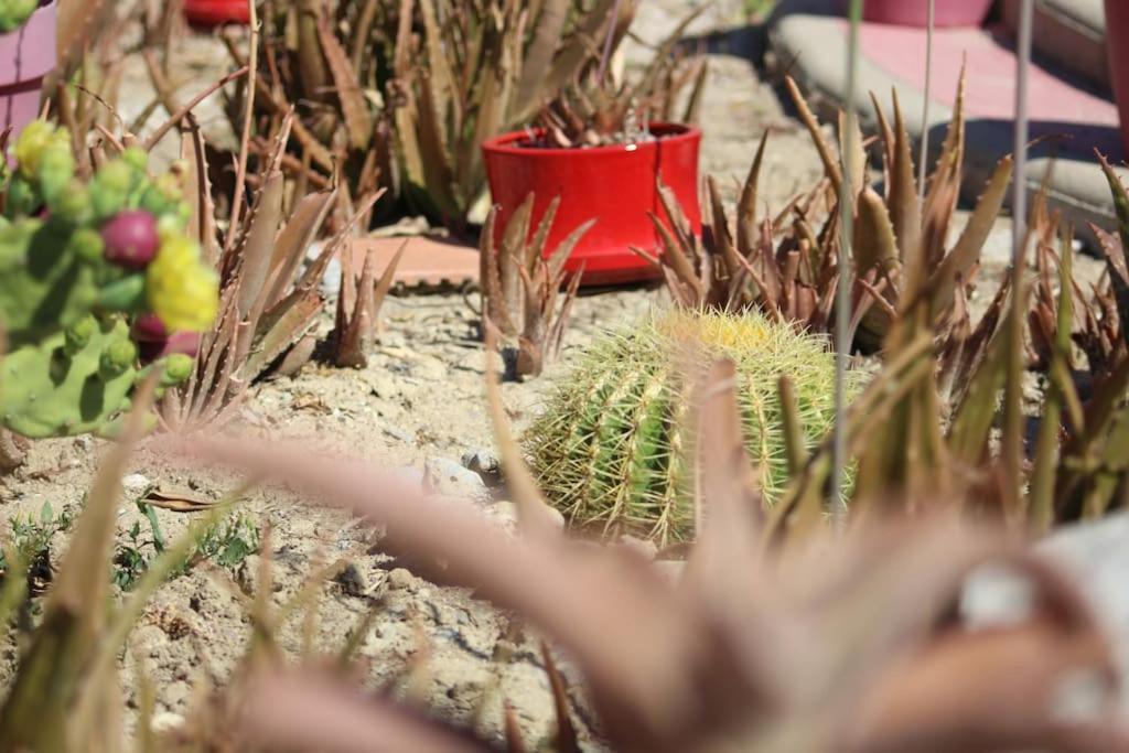 Chez Laura Et Benjamin ! Maison A La Plage Climatisee Frontignan ภายนอก รูปภาพ
